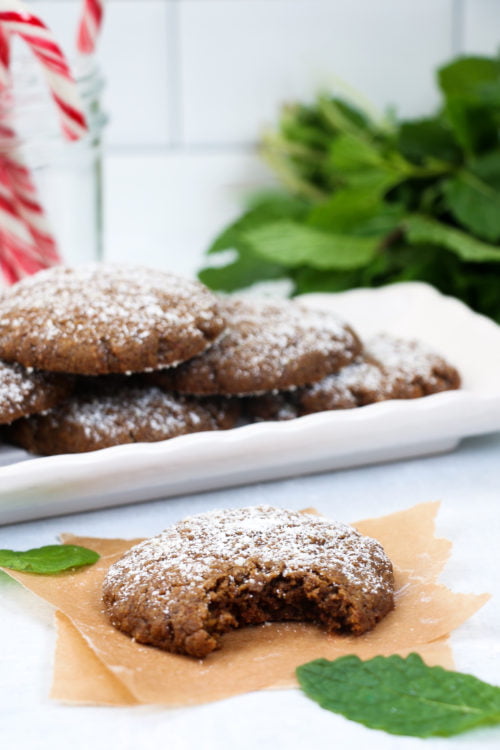 One ginger-molasses cookie with a bite out of it on a white background